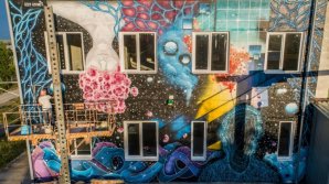 Inna jeleascova turned walls of winery in masterpiece (VIDEO)