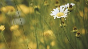 Variable sky and warm weather in whole country. How many degrees will thermometers indicate?