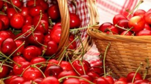 Cherry festival in Rusestii Noi. Visitors enjoyed traditional food and amazing atmosphere