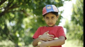 Greenhouses opened in Armenian schools to improve students’ nutrition