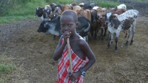 Child labour in agriculture is on the rise, driven by conflict and disasters