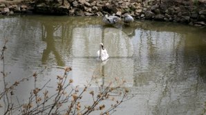 Yellow Warning for storm and floods in Moldova