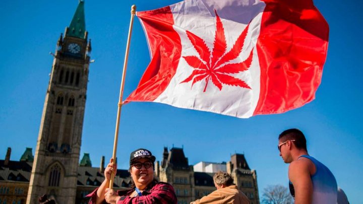 Canada will legalize cannabis this autumn. It will be used for recreational purposes