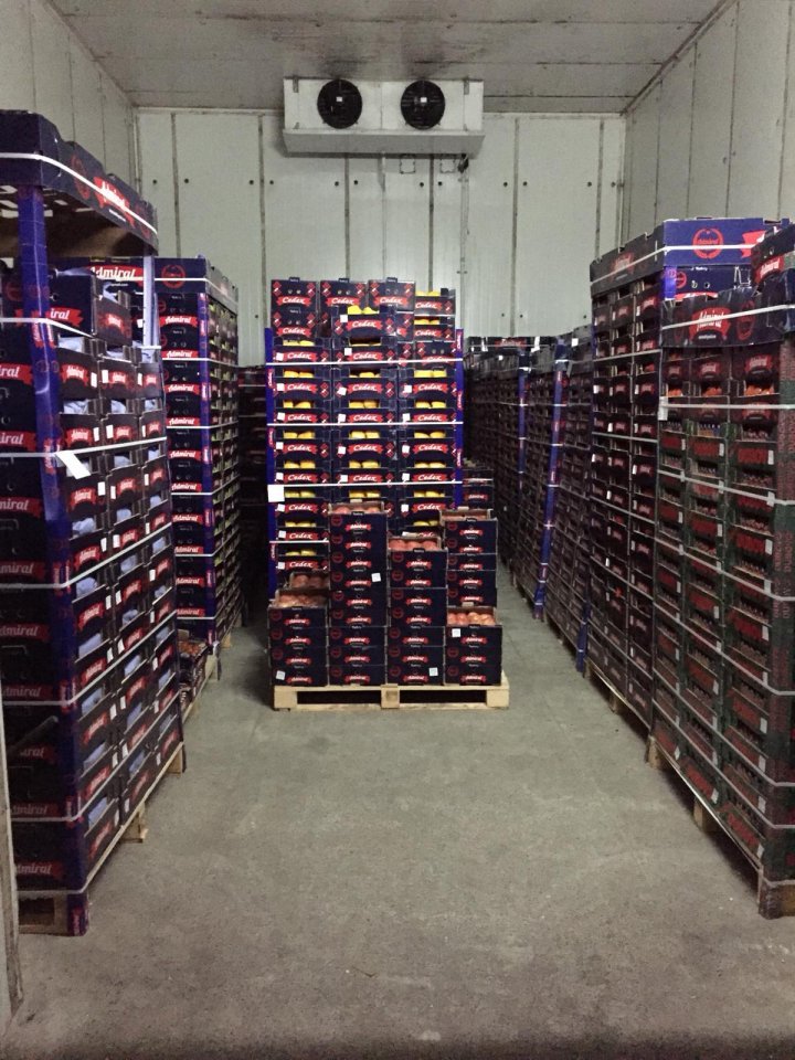 Tax evasion worth five million lei revealed by PCCOCS prosecutors 