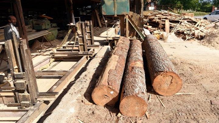 Wood energy is no sleeping giant, say UNECE/FAO experts