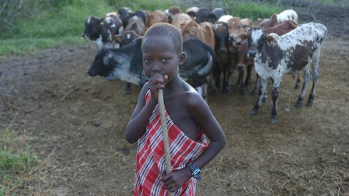 Child labour in agriculture is on the rise, driven by conflict and disasters