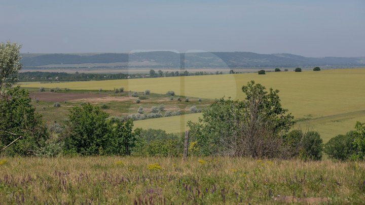 Weather Forecast for following days in Moldova 