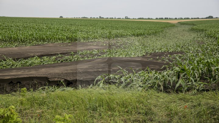 Heavy Rains in Moldova: Over 200 hectares of crops destroyed (Photo)
