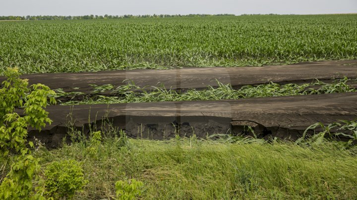 Heavy Rains in Moldova: Over 200 hectares of crops destroyed (Photo)