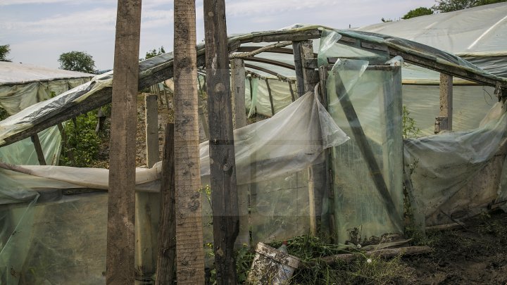 Heavy Rains in Moldova: Over 200 hectares of crops destroyed (Photo)