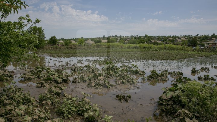 Heavy Rains in Moldova: Over 200 hectares of crops destroyed (Photo)