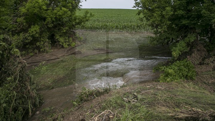 Heavy Rains in Moldova: Over 200 hectares of crops destroyed (Photo)