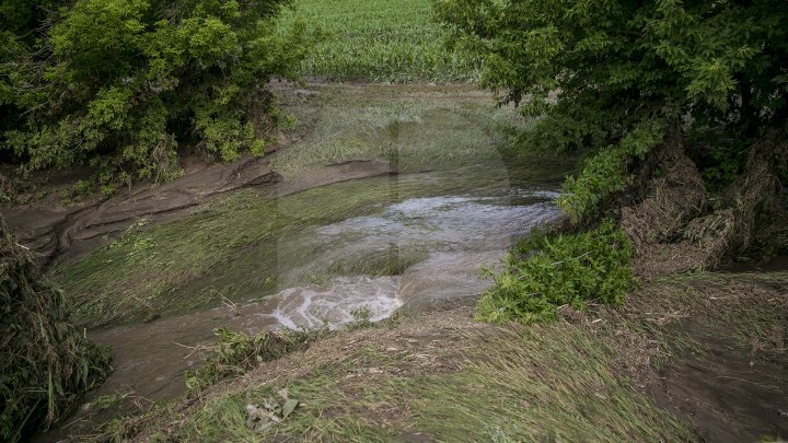 Heavy Rains in Moldova: Over 200 hectares of crops destroyed (Photo)