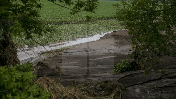 Heavy Rains in Moldova: Over 200 hectares of crops destroyed (Photo)