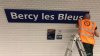 Paris renames stations in honour of France's World Cup victors