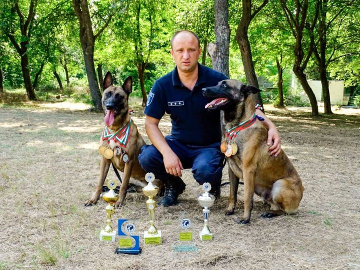 K9s of Border police conquered the audience within an international competition