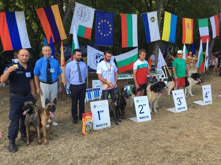 K9s of Border police conquered the audience within an international competition