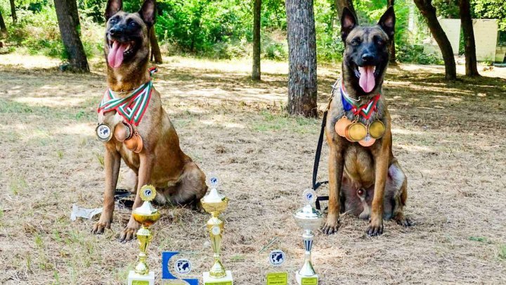 Border Police dogs attended international competition in Bulgaria 