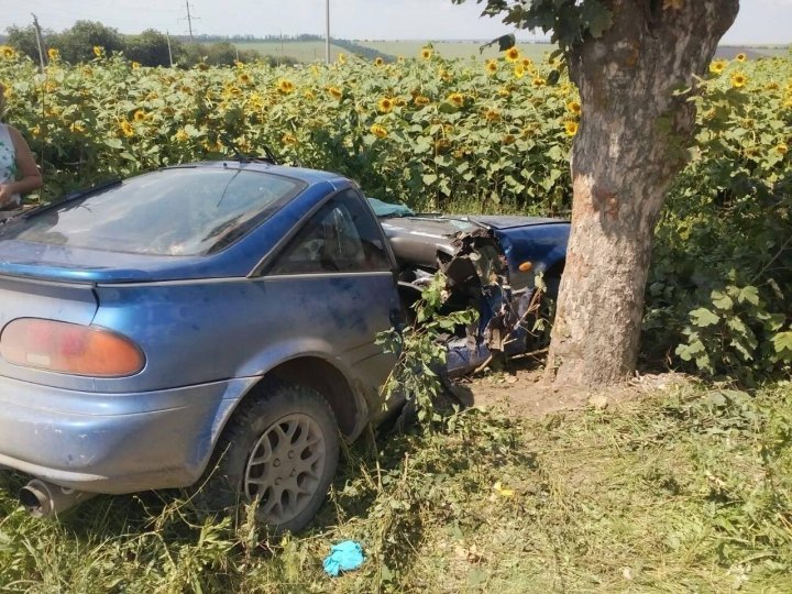 Road accident near Dobrogea Nouă village: Passenger stuck in car after collision against tree 