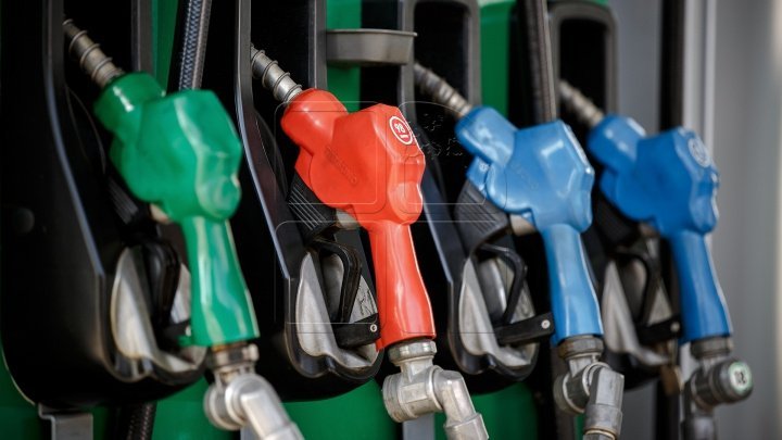 Project of law to establish fuel prices once in three months was created 