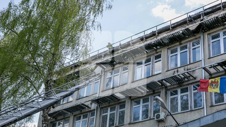 Employees of Institute of Zoology and Microbiology fight against mold. June rain fall flooded building