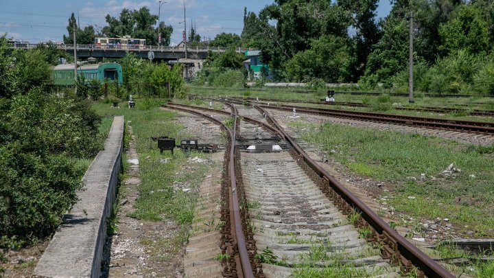 Government decided: Public Propriety Agency will own Moldova Railway 