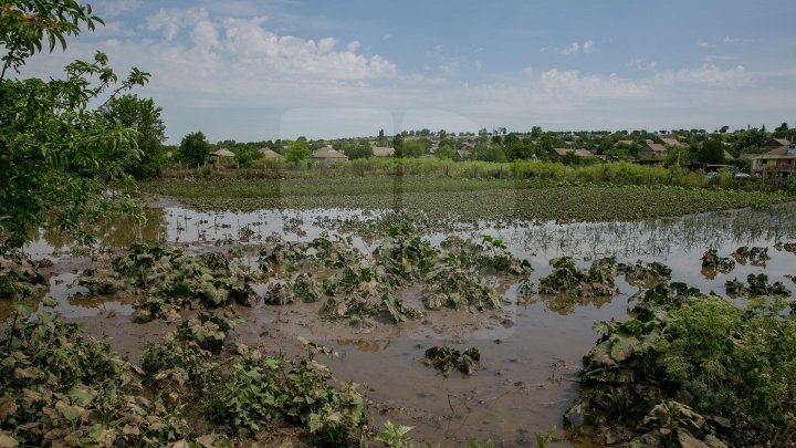  Ravagies in several localities from Moldova: Farmlands, roads and roofs destroyed by hailstorms