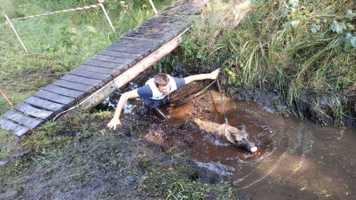 K9s of the Border Police starred at a contest in Latvia. They crossed marshy places and dragged under nets