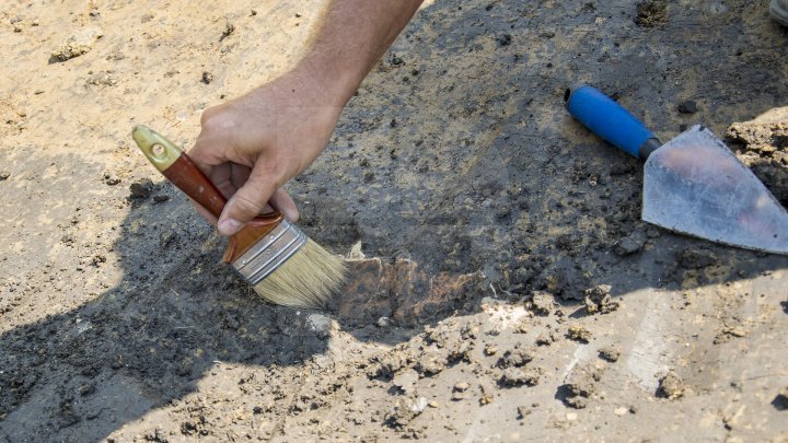 Remnants of medieval village found in Calarasi (PHOTO REPORT)