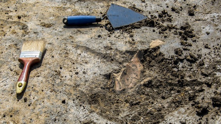 Remnants of medieval village found in Calarasi (PHOTO REPORT)