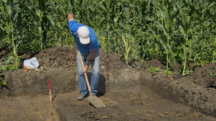 Remnants of medieval village found in Calarasi (PHOTO REPORT)