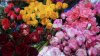 Flower sellers got attention of State Tax Service. There were fines of over 80,000 lei