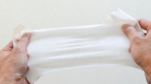 Family from Cahul opened wet wipes factory 