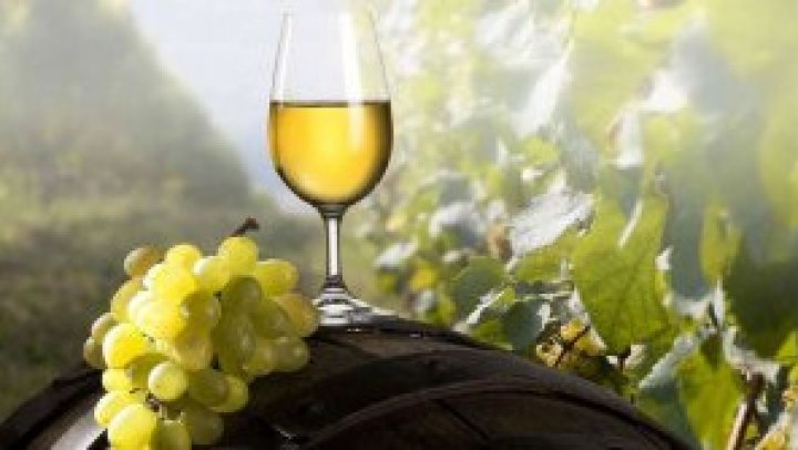 WINE TOURISM, SUPPORTED: World Tourism Organization will support Moldova