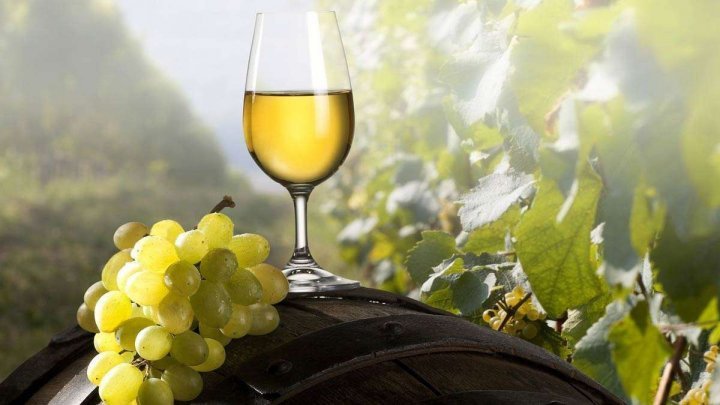 Participants of Global Wine Tourism Conference reached Chisinau