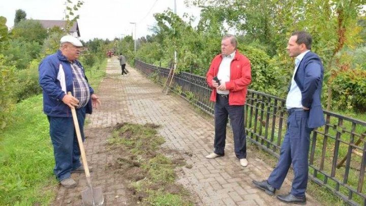 At Valea Morilor Park from Capital is unfolding a sanitation and landscaping action