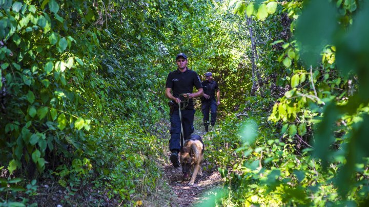 Situation at border, in last 24 hours: five people in conflict with law, detained