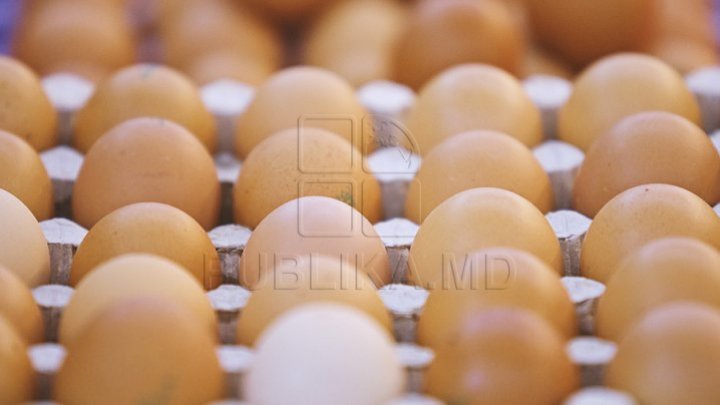 More Moldovan eggs exported to Irak. What do owners do to extend the market