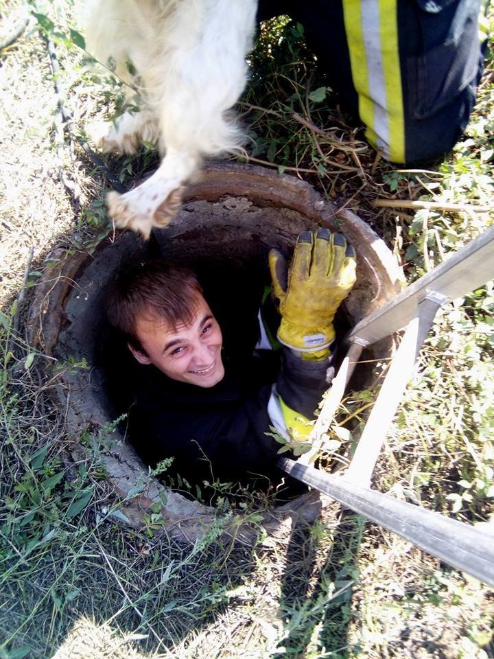 UNUSUAL MISSION of saviors from Botanica. They saved a fallen dog in a sewer (PHOTO)