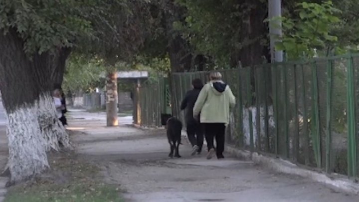 A woman from Balti turned her apartment into a cat and dog shelter