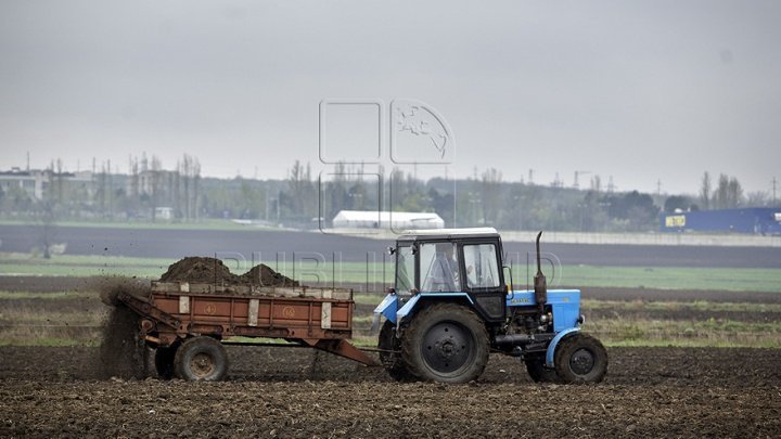 SOWING has been started. Specialists warn that temperatures are too high