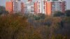 More and more Moldovans who give their flats for rent declare their incomes