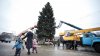 This year, the Capital residents will enjoy an artificial Christmas tree