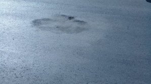 Jurnal TV team destroyed the asphalt on Stefan cel Mare boulevard 