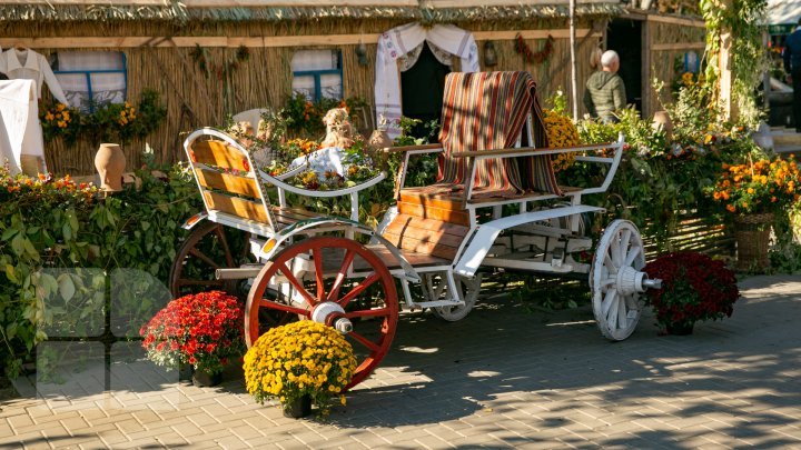 Chisinau dressed for a celebration. Music, Dances and Traditional Food for City Day