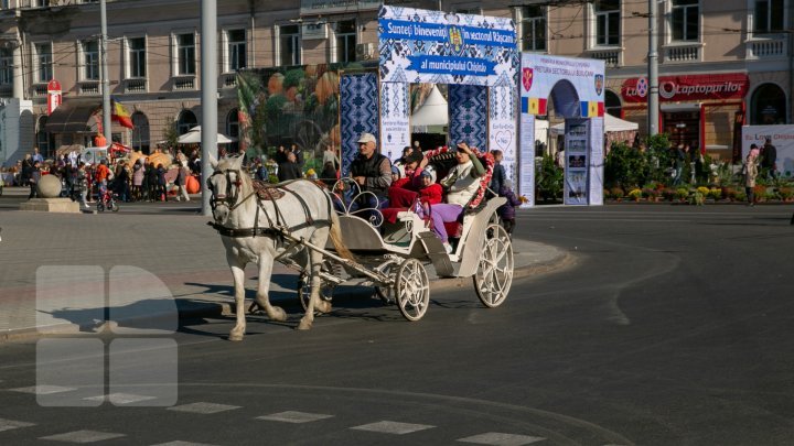 Chisinau dressed for a celebration. Music, Dances and Traditional Food for City Day