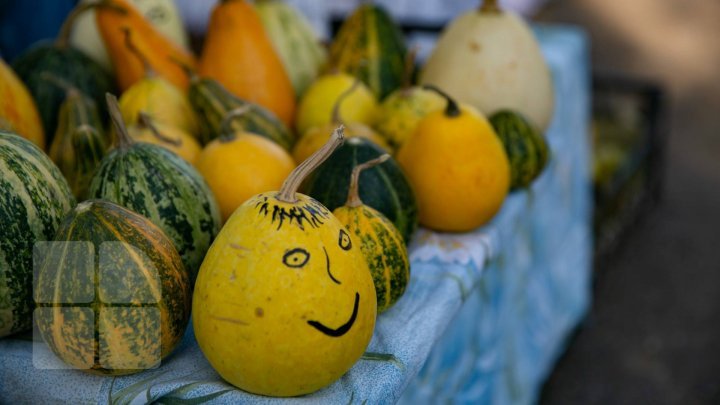 Gold Autumn celebrated in Sangerei. Farmers are proud of harvest that they gathered