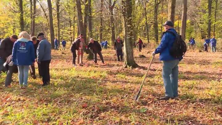 "Together we plant a future": Nearly one million trees will be planted in Moldova next week