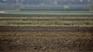 People of Ialoveni wants to return the given land to Institute for Scientific Research for Viticulture
