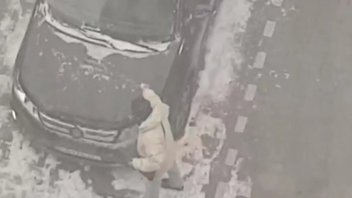 Video footage of Japan Ambassador to Moldova removing the snow from his car